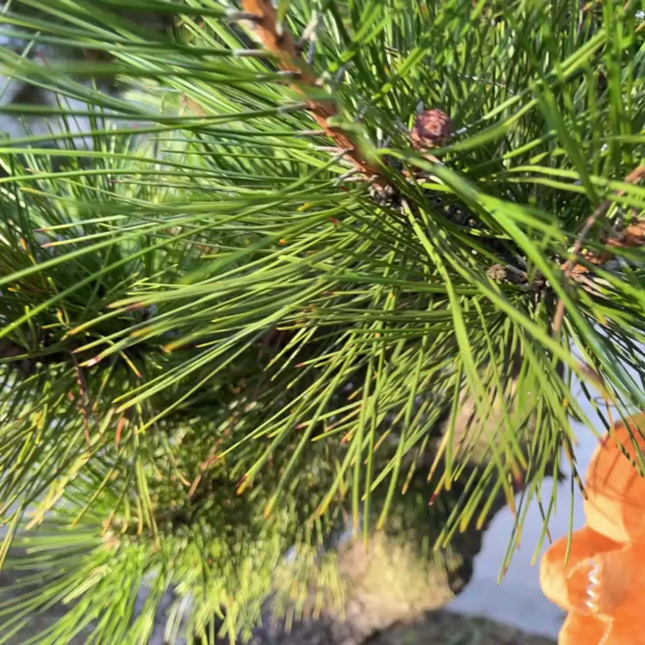 GingerJoy - Gemberkoek Man Pluche Speelgoed voor Kerstdecor