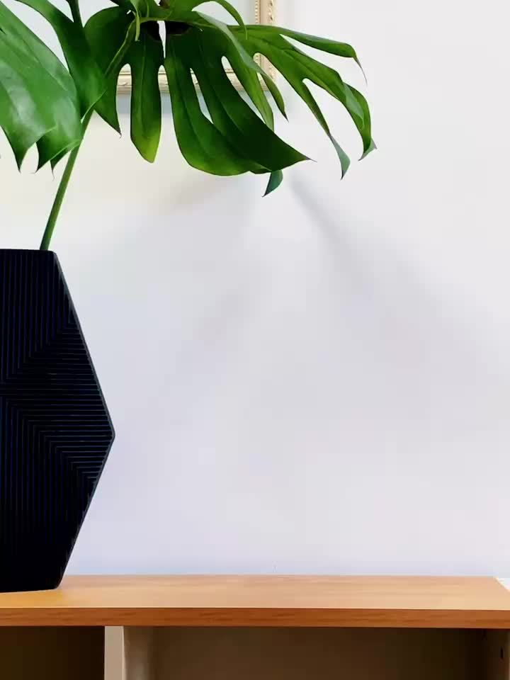 FantasyHead - Fermalibri Testa di Harsen - Fermalibri Decorativo per Diverse Stanze