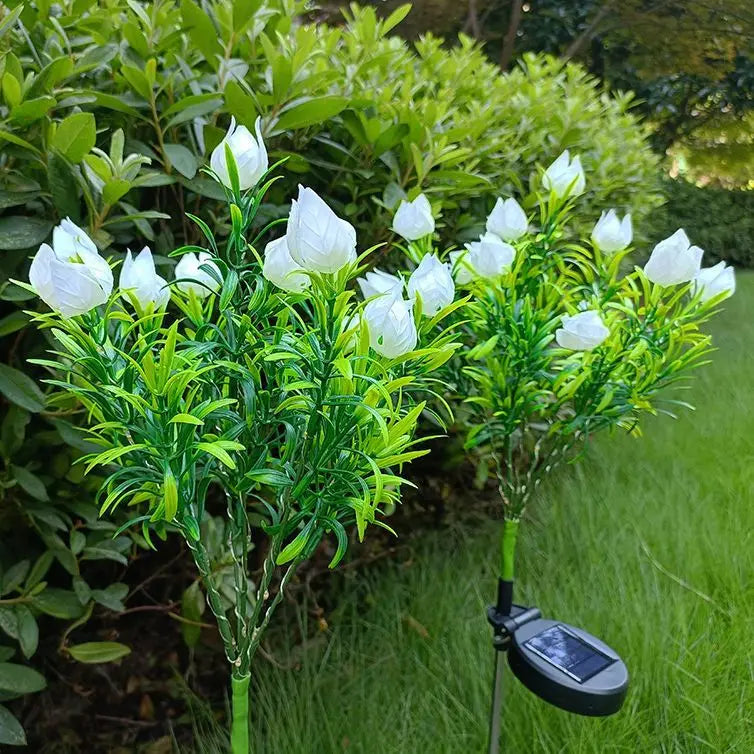 SolarGardenia - Solar Energy LED Garden Lighting – Weatherproof Outdoor Lamp for Garden, Balcony & Terrace