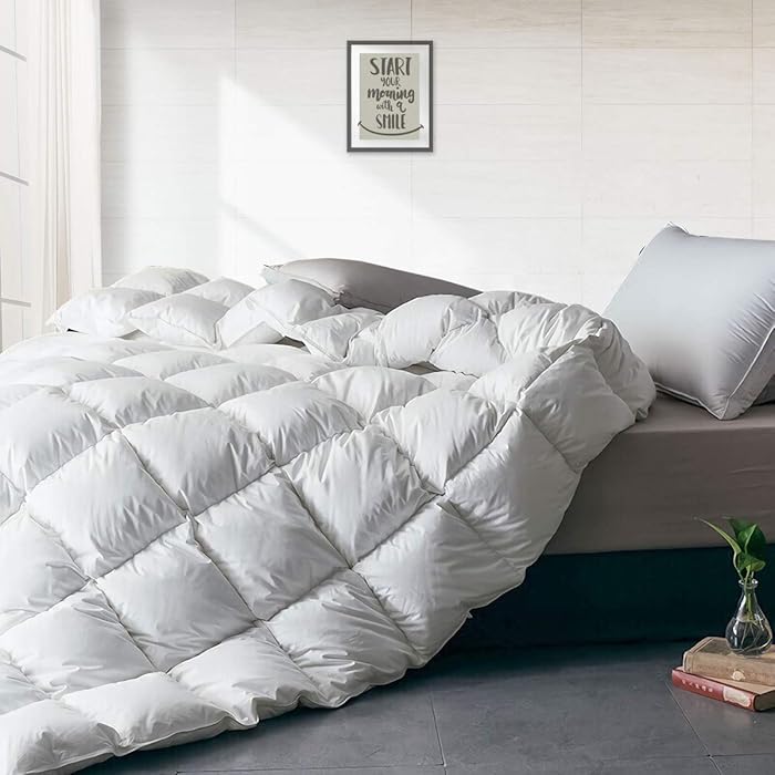 Cloud Ganzendonzen Duvet