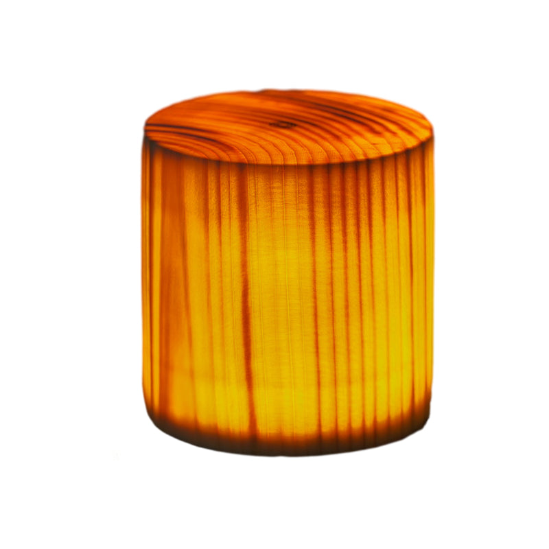 LumiChampi – Veilleuse LED Tactile en Forme de Champignon, Rechargeable et Dimmbable