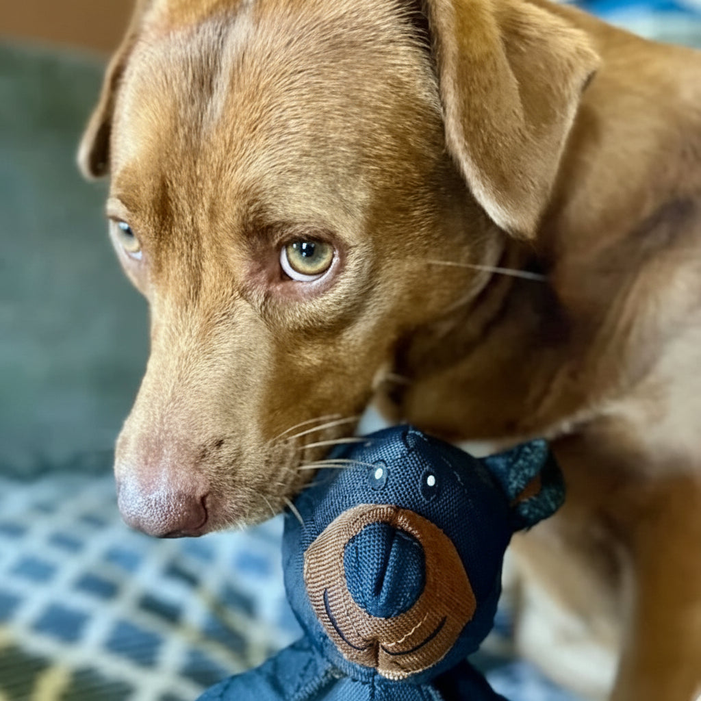 Durable Chew Toy for Aggressive Chewers Eco-Friendly Dog Toy 1