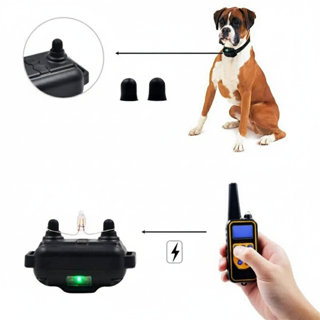 Hondentrainingshalsband Afstandsbediening Waterdicht Gedragstraining