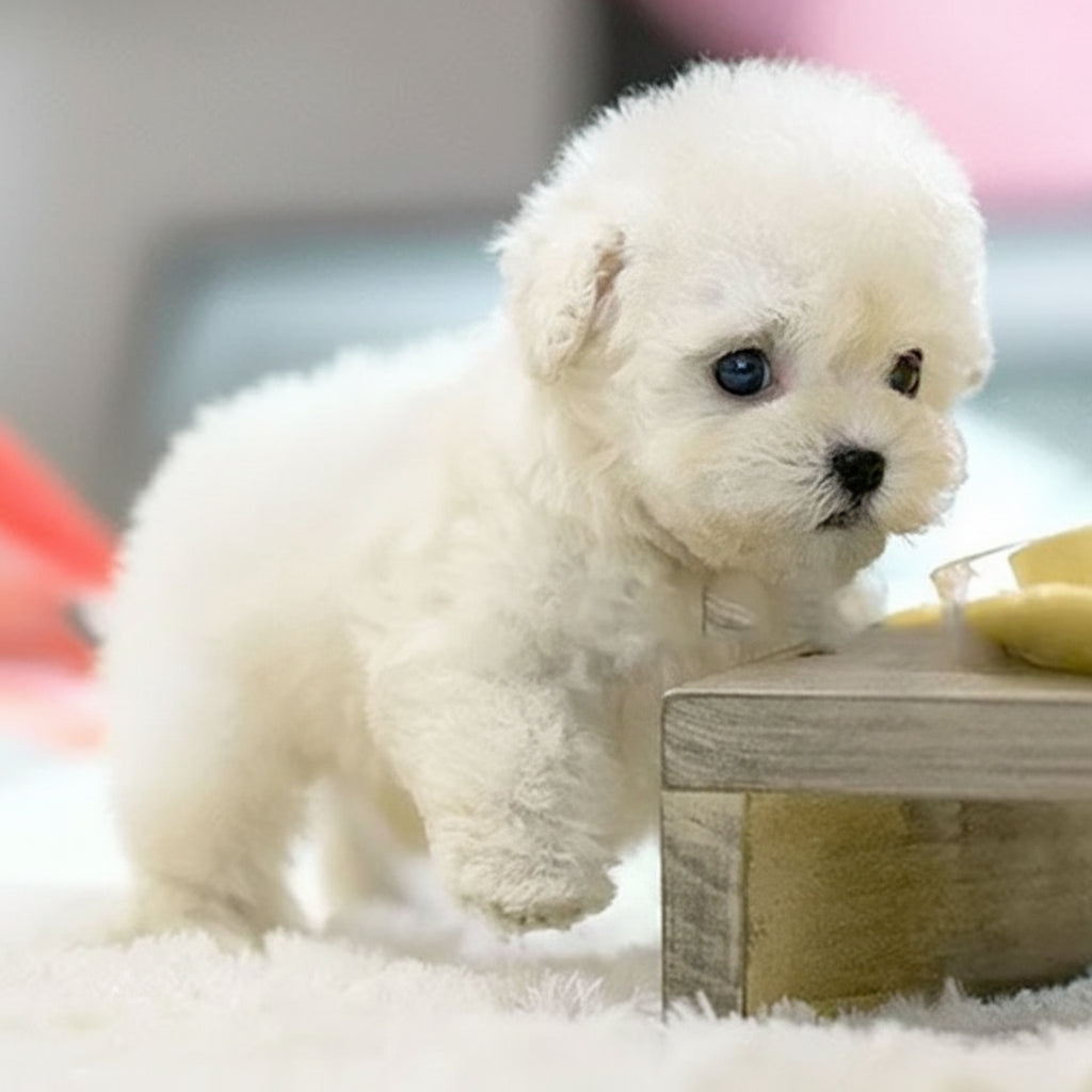 Interactieve Robot Puppy Realistisch Speelgoed voor Kinderen 4