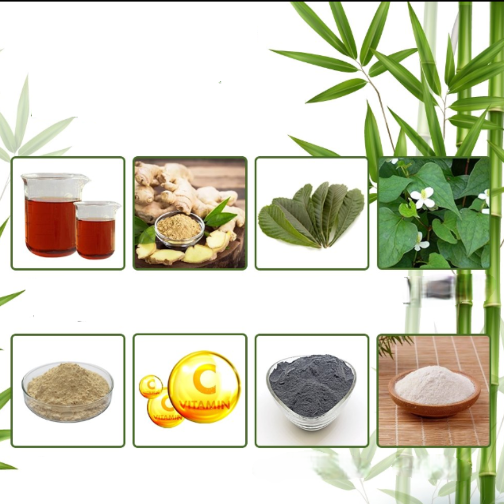 Natural Detox Foot Pads for Toxin Removal and Restful Sleep 2