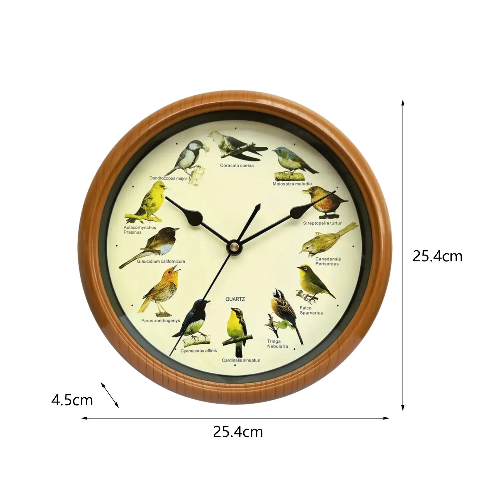 VogelZang - Reloj de pared Zingende Vogel de 10 pulgadas para decoración de hogar elegante