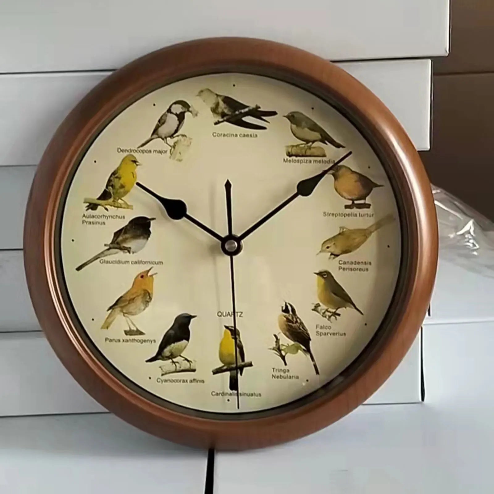 VogelZang - Reloj de pared Zingende Vogel de 10 pulgadas para decoración de hogar elegante