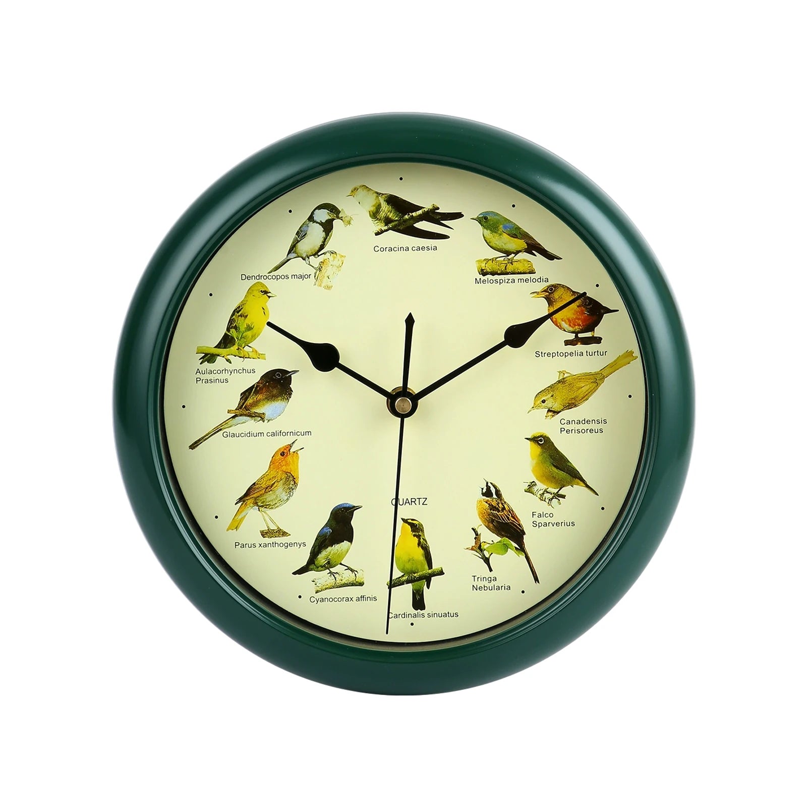 VogelZang - Reloj de pared Zingende Vogel de 10 pulgadas para decoración de hogar elegante