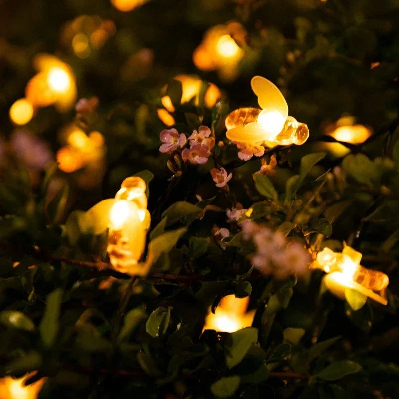 SolarBee - Solar Energy String Lights for Outdoor Use