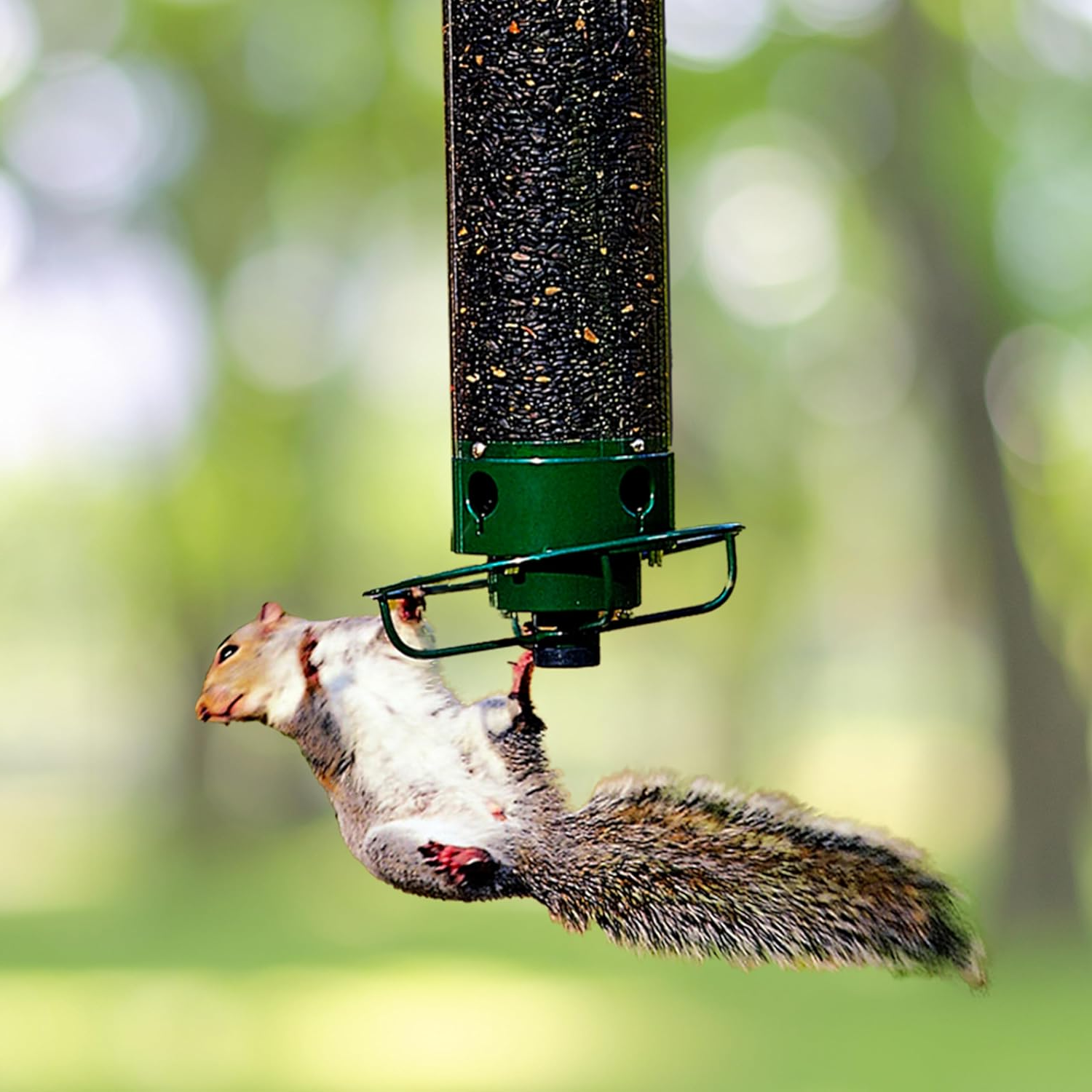 Squirrel Proof Bird Feeder Heavy-Duty Metal Multi-Feeding Ports 0