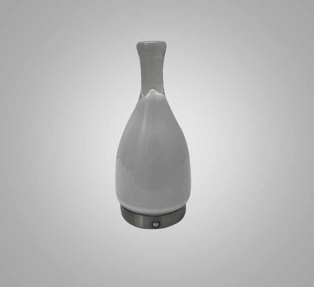 LumeCarry – Draagbare LED Fleslamp met Leren Handvat