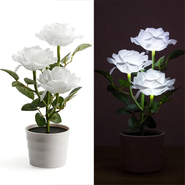 LumiPath – Lampione in Acrilico Resistente alle Intemperie per Giardino e Sentiero – Illuminazione Esterna Solare LED Moderna