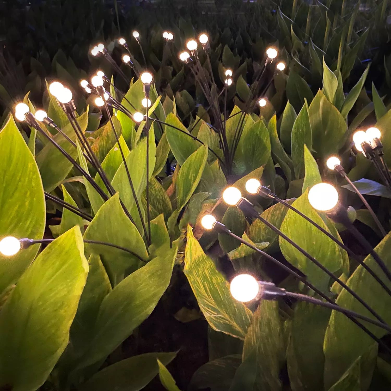 Solar Energy Firefly Garden Lighting - 10 LED Lamps