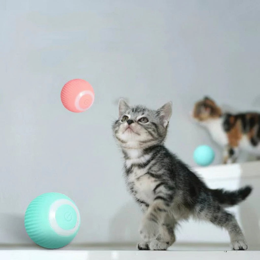 Smart Cat Ball Active Play Natural Behavior