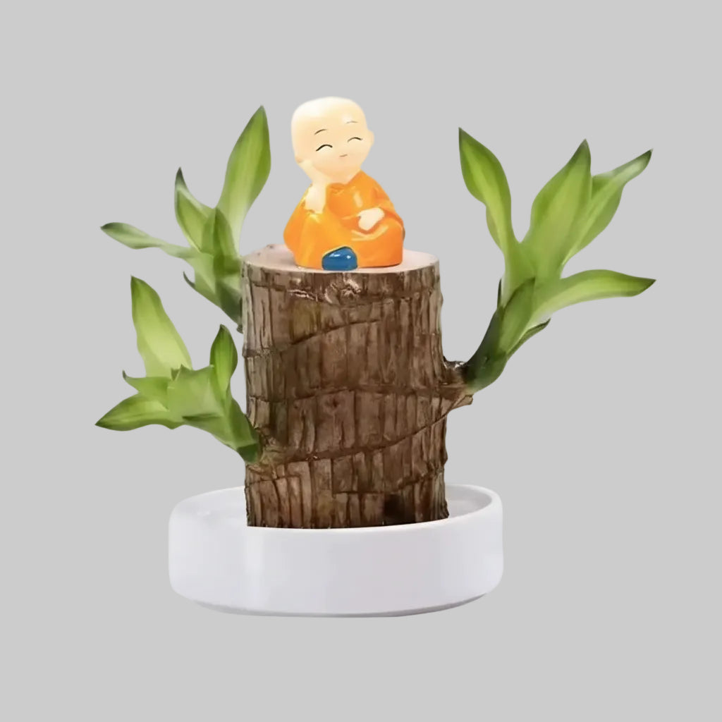 Houten Plant Luchtzuiverend Vermindert Stress Laag Onderhoud