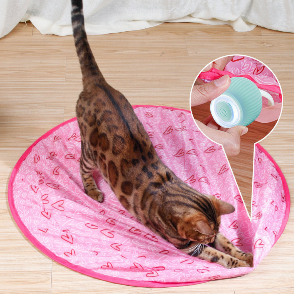 Smart Cat Ball Active Play Natural Behavior