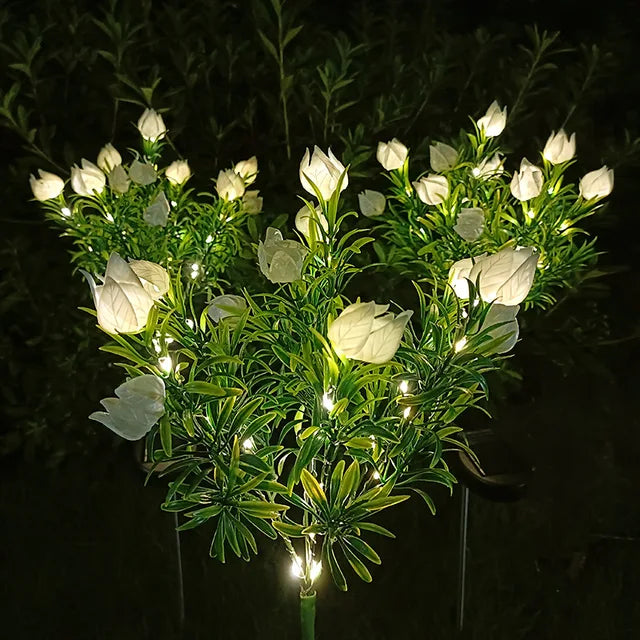 SolarGardenia - Solar Energy LED Garden Lighting – Weatherproof Outdoor Lamp for Garden, Balcony & Terrace
