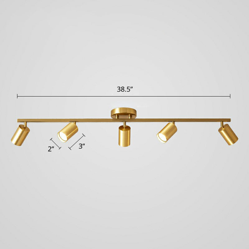Minimalist LED Ceiling Lamp with Golden Tubular Track and Metal Shade