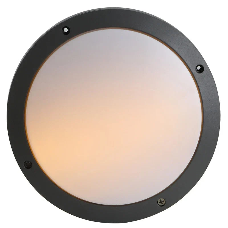 RadiantGlow - LED Outdoor Wall Lamp