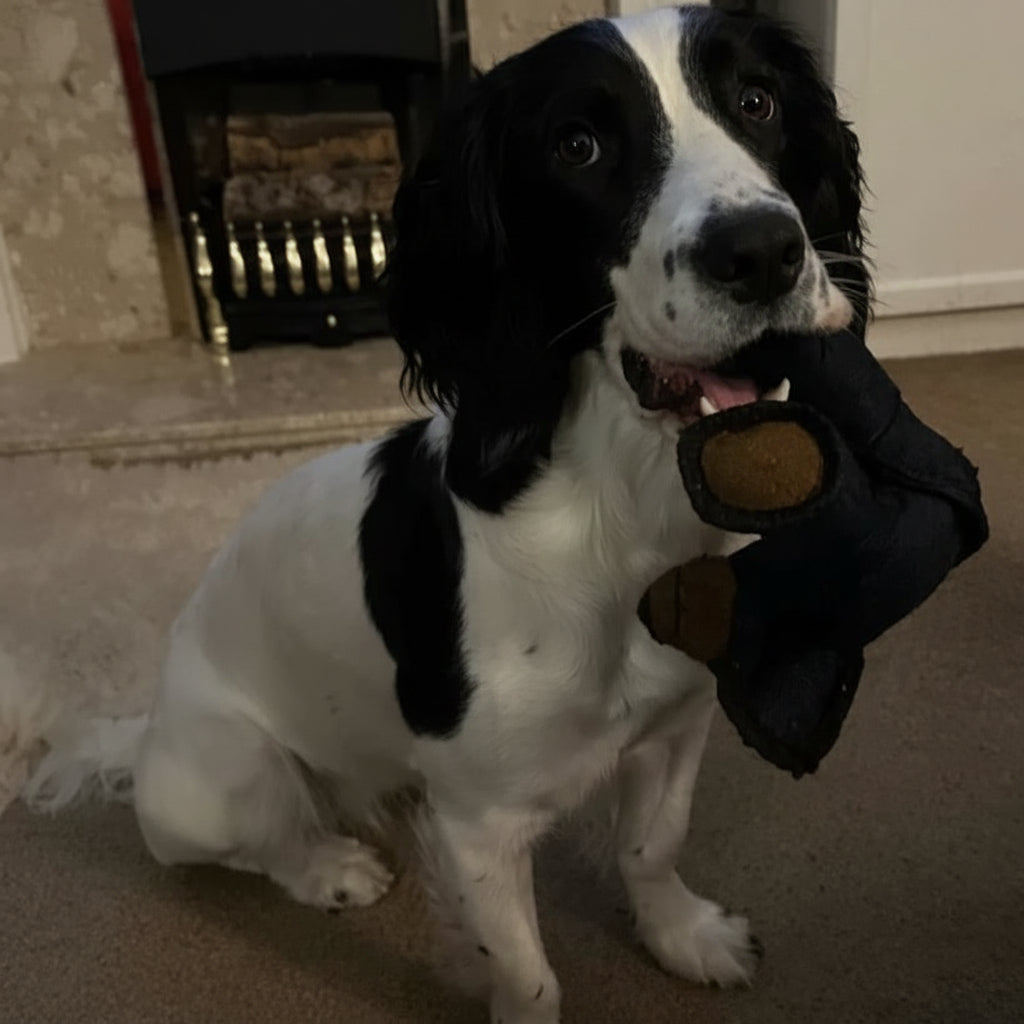 Durable Chew Toy for Aggressive Chewers Eco-Friendly Dog Toy 2