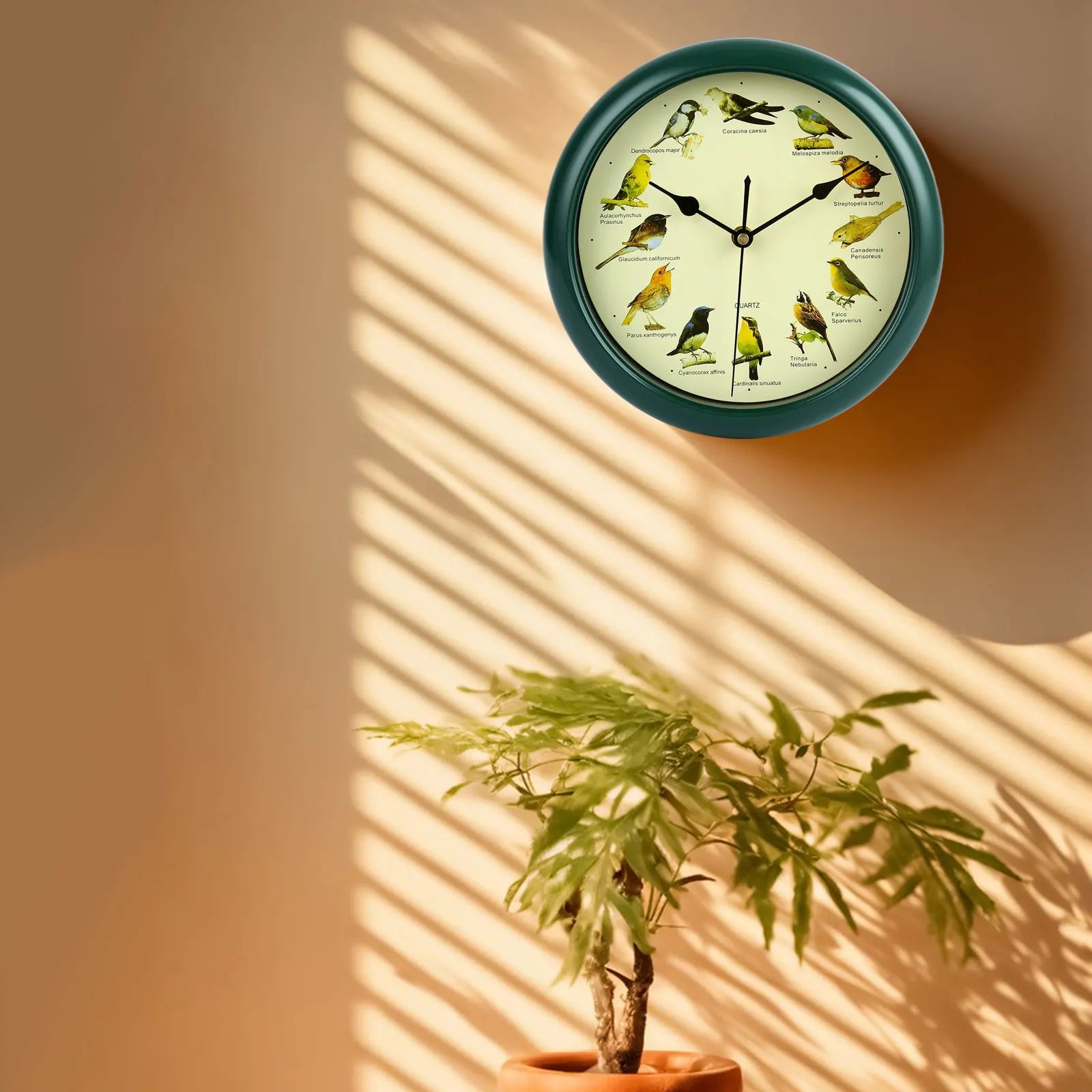 VogelZang - 10 Inch Singing Bird Wall Clock for Stylish Home Decoration