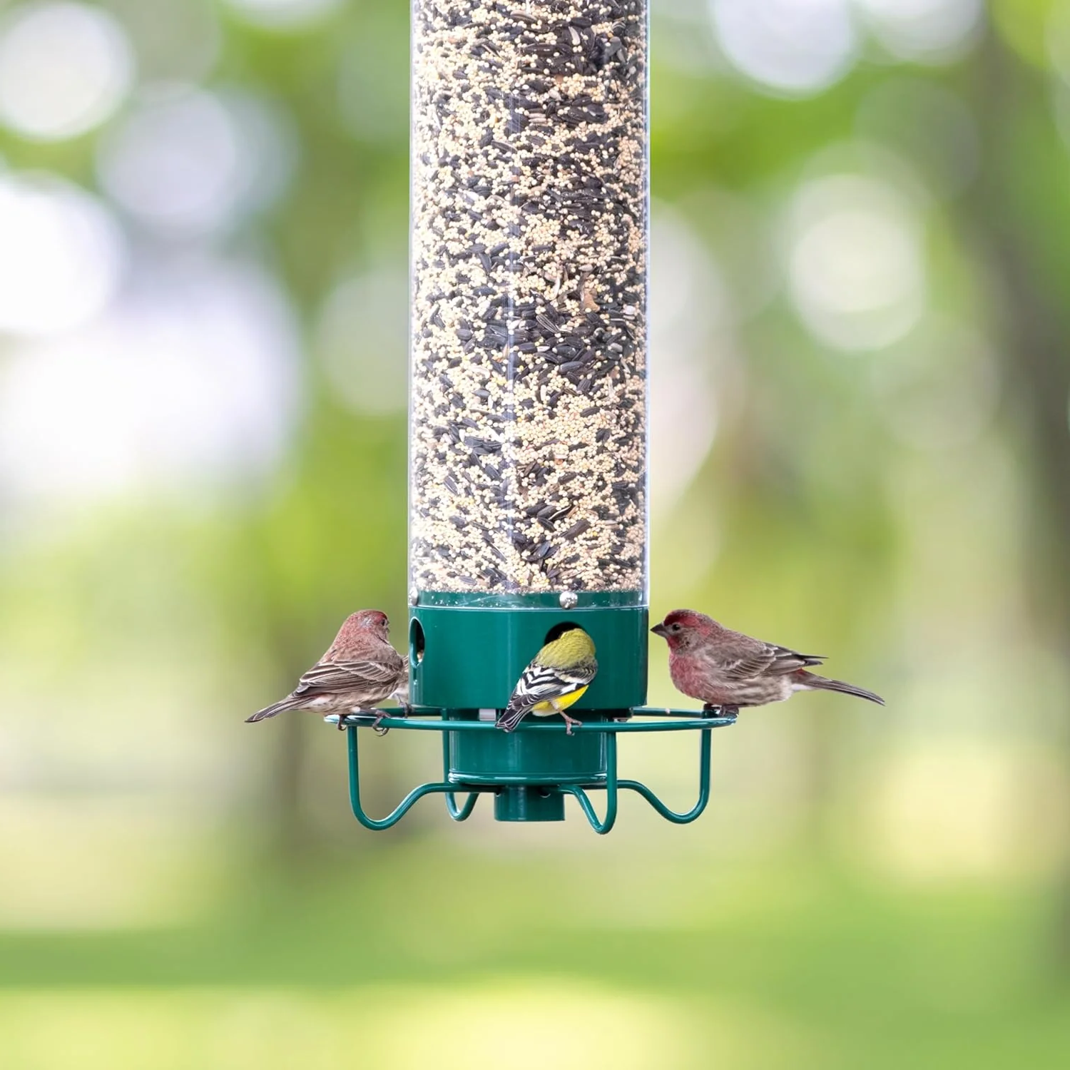 Squirrel Proof Bird Feeder Heavy-Duty Metal Multi-Feeding Ports 5