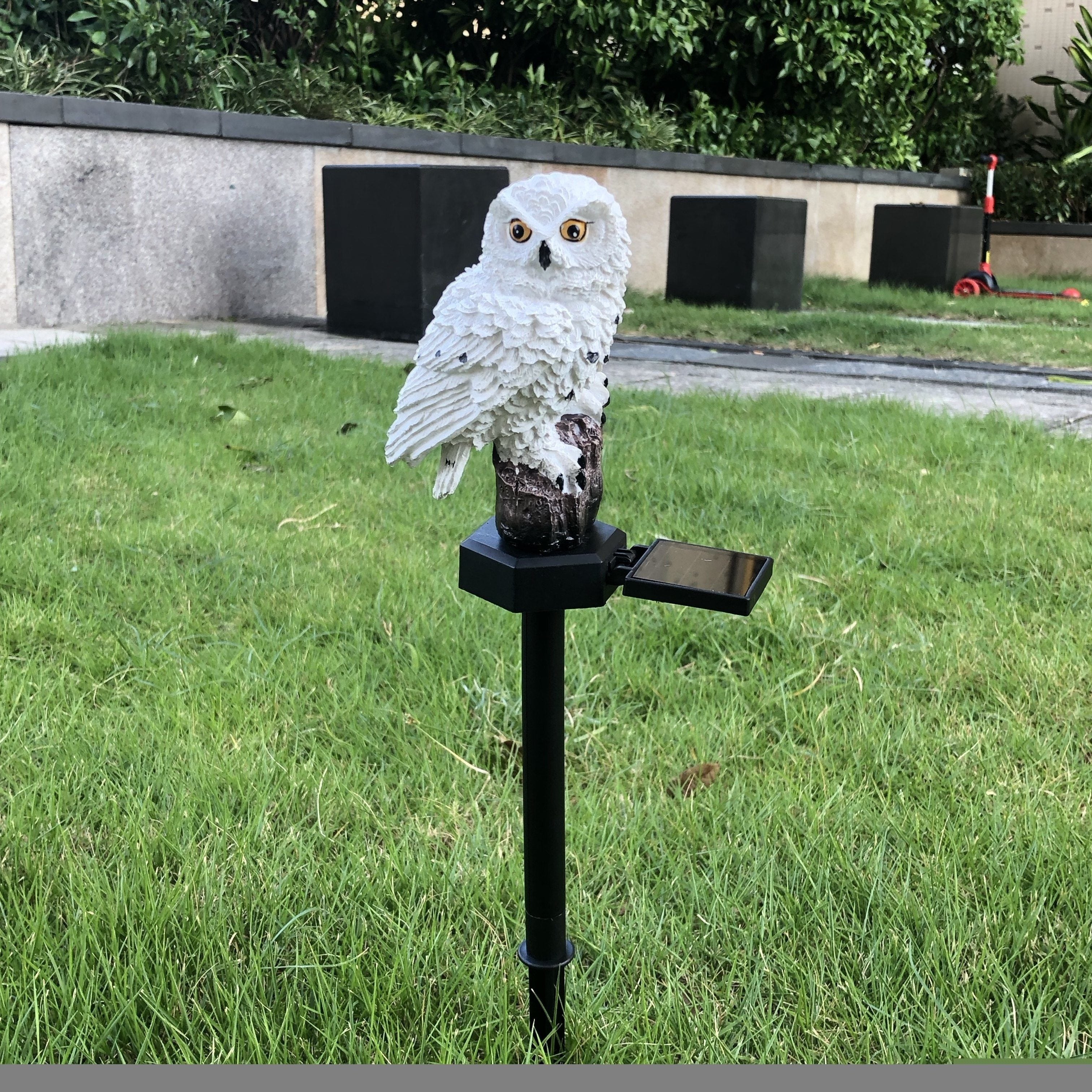 SolarOwl - Lampada da Giardino Solare a LED, Decorazione da Giardino con Design in Resina
