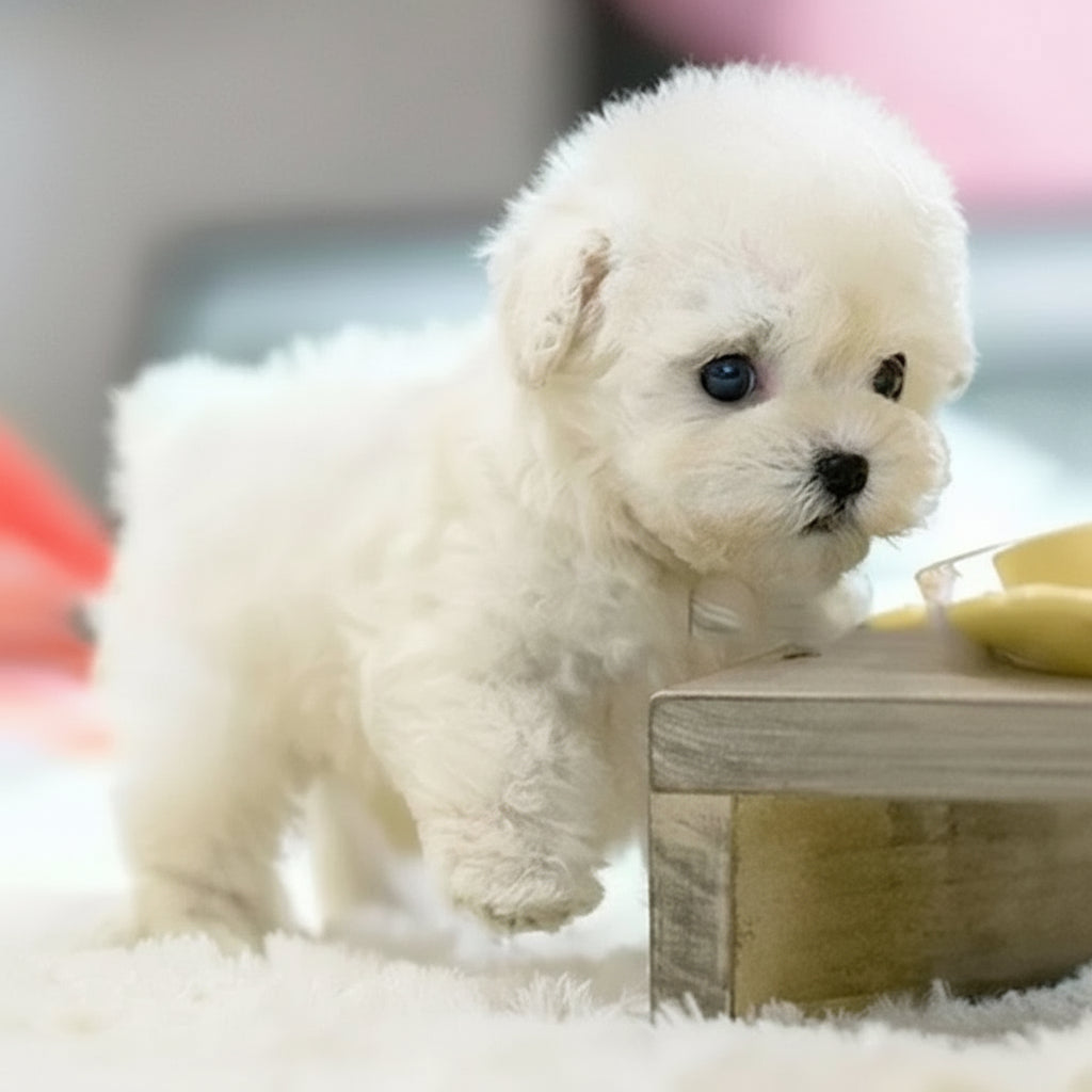 Realistic Robotic Plush Dog - Image 3